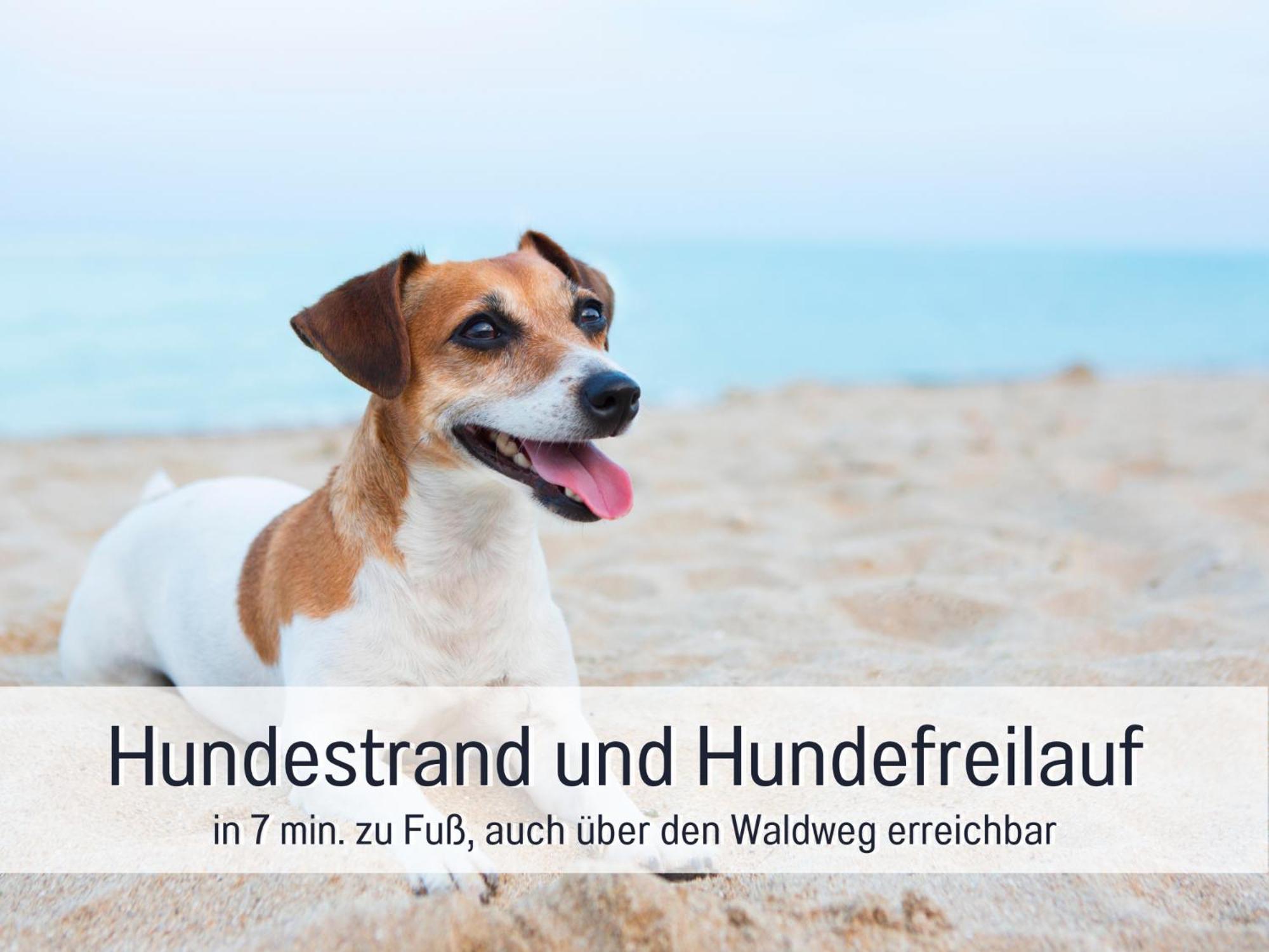 Strandloft Cuxhaven Im Haus Frauenpreiss Sahlenburg - Strandnah - 2 Hunde Willkommen -Schwimmbad - Sauna - Direkt Am Wald - Dachterrasse Mit Blick Nach Neuwerk Exterior foto